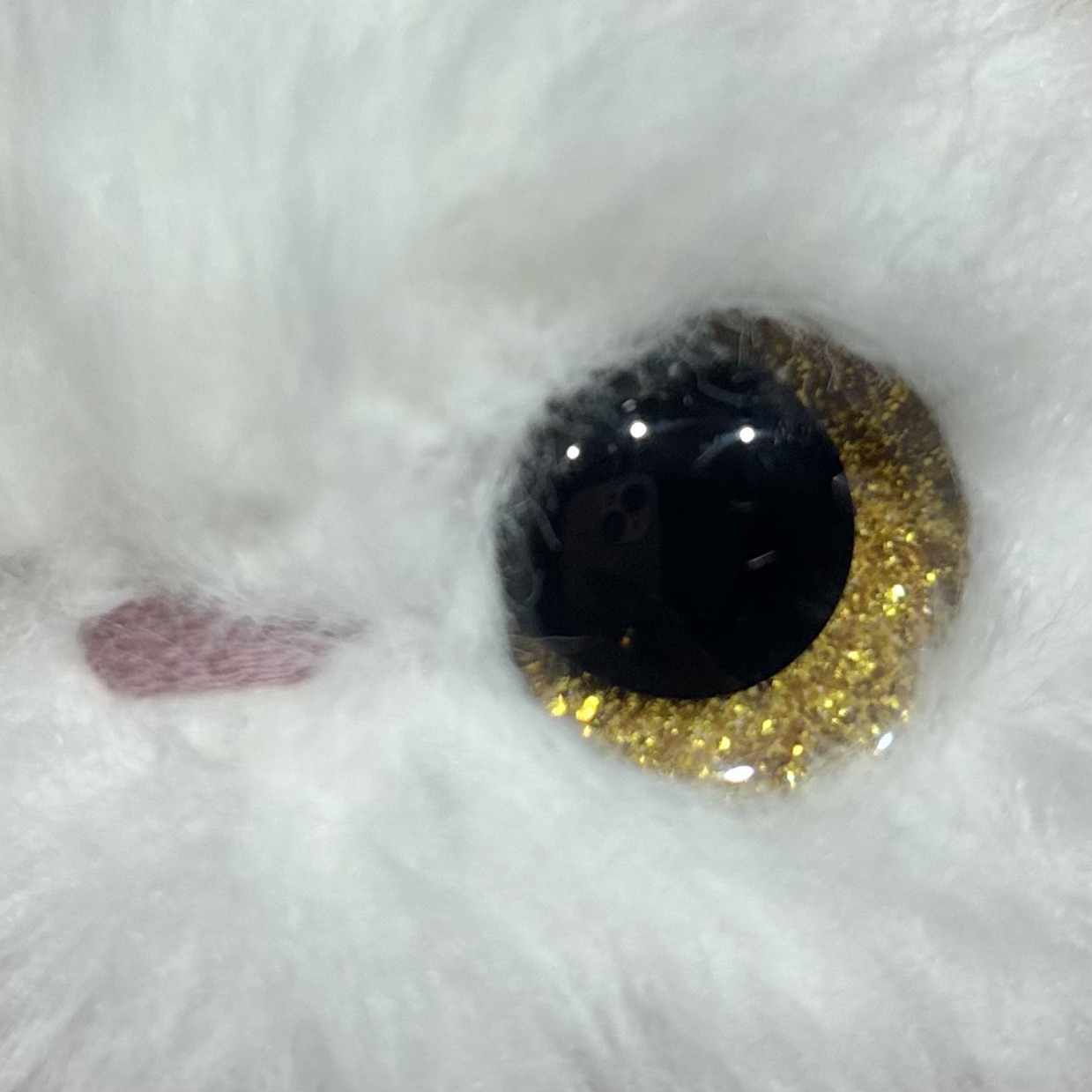 Eye Color - Gold